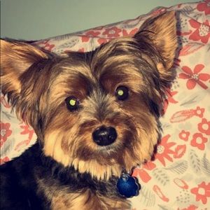 Meet your Posher, Daniele